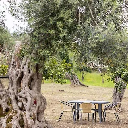 Private House With Garden Next To The Vakantiehuis *